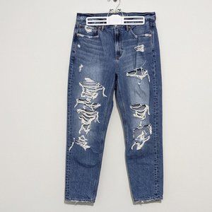 AE 90s Slim Boyfriend Jean, High Rise Distressed Denim, 6 Regular